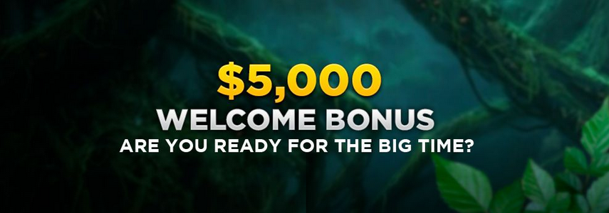 Wild casino Welcome Bonus